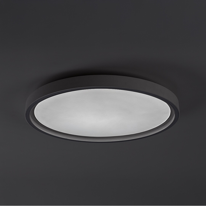 Rabalux - Dimbart LED-taklampa LED/31W/230V IP40 3000-6500K Ø41,5 cm + fjärrkontroll