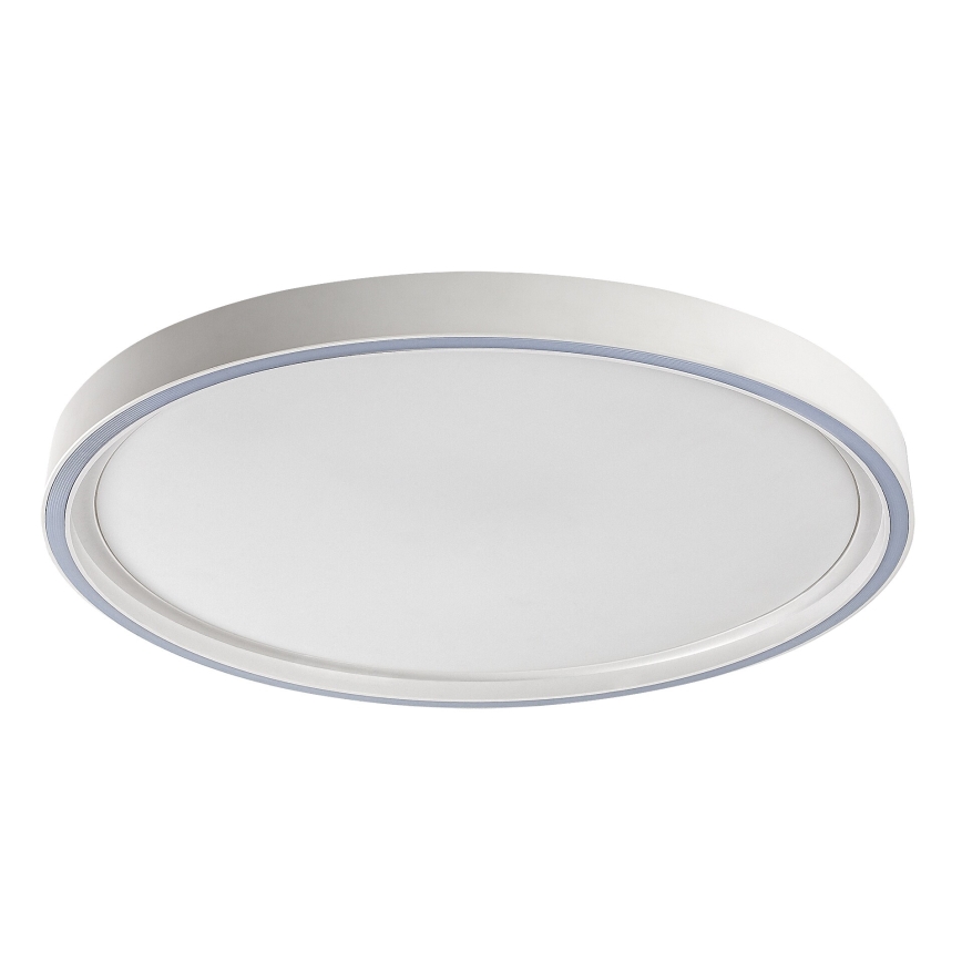 Rabalux - Dimbart LED-taklampa LED/31W/230V IP40 3000-6500K Ø41,5 cm + fjärrkontroll