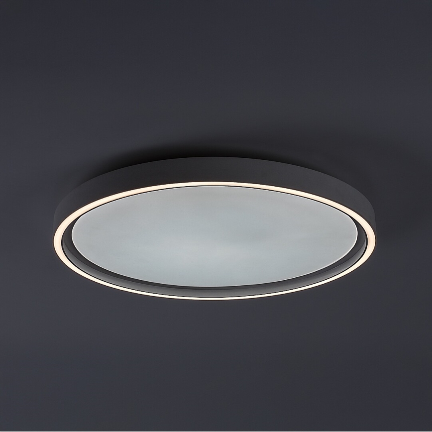 Rabalux - Dimbart LED-taklampa LED/31W/230V IP40 3000-6500K Ø41,5 cm + fjärrkontroll
