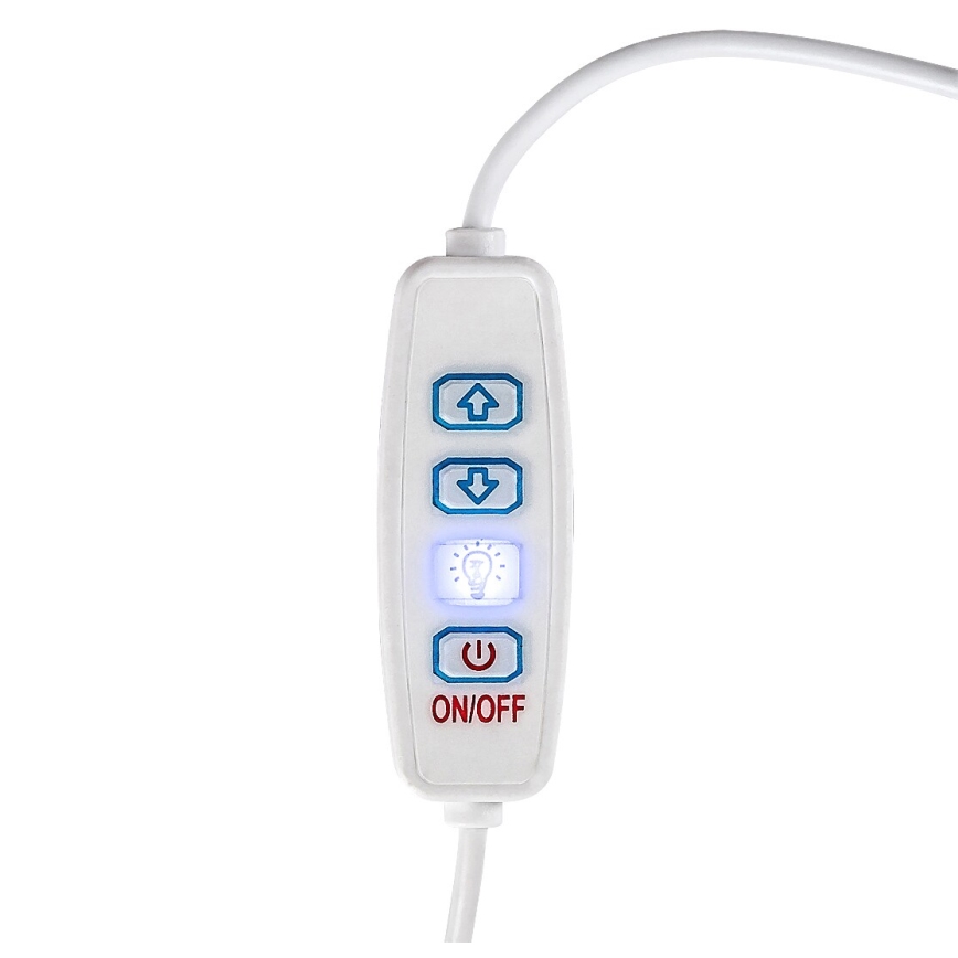 Rabalux - LED Dimbart skrivbordslampa LED/1,2W/5V 3000K bok