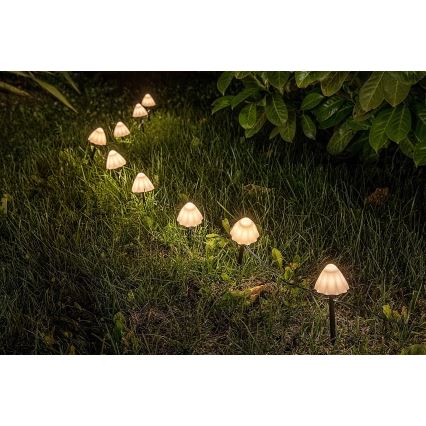 Rabalux - LED Solarlampa 10xLED/0,2W/1,2V IP44 300 mAh