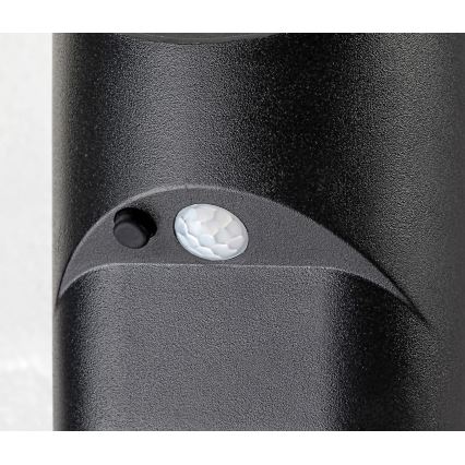 Rabalux - LED solcellslampa med sensor LED/3,6W/3,7V IP44 1800 mAh