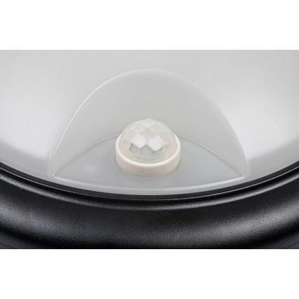 Rabalux - LED Utomhus Vägglampa med Sensor LED/15W/230V IP54