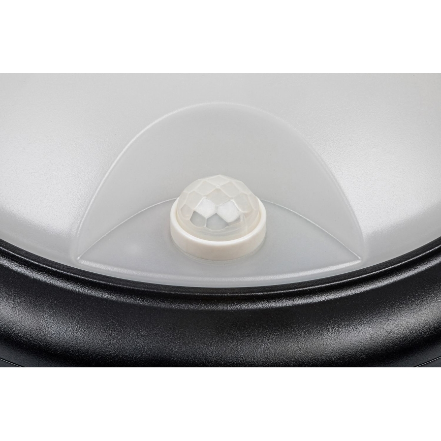 Rabalux - LED Utomhus Vägglampa med Sensor LED/15W/230V IP54