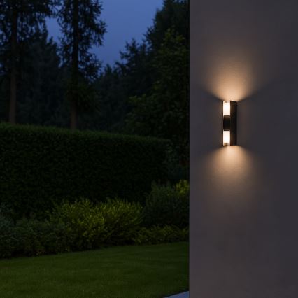 Rabalux - LED-utomhusvägglampa LED/13W/230V IP65 antracit