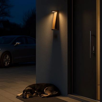 Rabalux - LED utomhusvägglampa LED/13W/230V IP65 brun