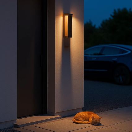 Rabalux - LED utomhusvägglampa LED/13W/230V IP65 brun