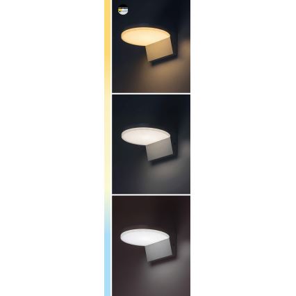 Rabalux - LED Utomhus Vägglampa LED/9W/230V 2700/4000/6500K IP54 svart