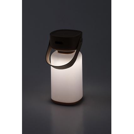 Rabalux - LED Utomhus dimbar touch uppladdningsbar bordslampa LED/3W/5V IP44 brun