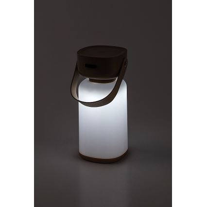 Rabalux - LED Utomhus dimbar touch uppladdningsbar bordslampa LED/3W/5V IP44 brun