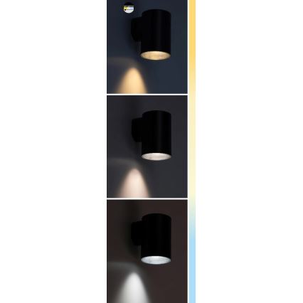 Rabalux - LED vägglampa för utomhusbruk LED/18W/230V 2700/4000/6500K IP65 svart