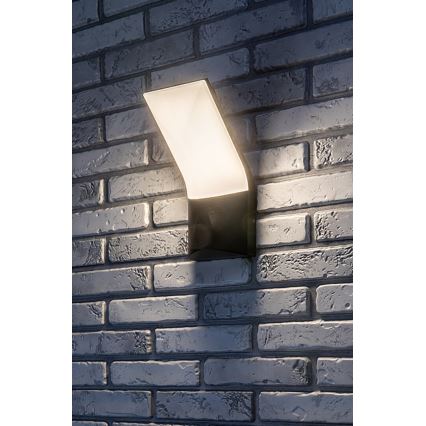 Rabalux - LED vägglampa för utomhusbruk LED/10W/230V IP54