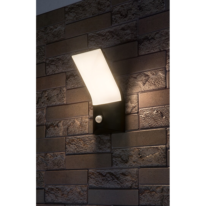 Rabalux - LED Utomhus Vägglampa med Sensor LED/10W/230V IP54