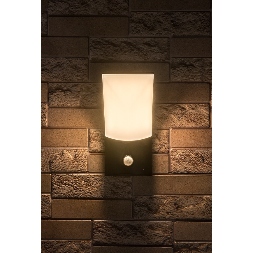 Rabalux - LED Utomhus Vägglampa med Sensor LED/10W/230V IP54