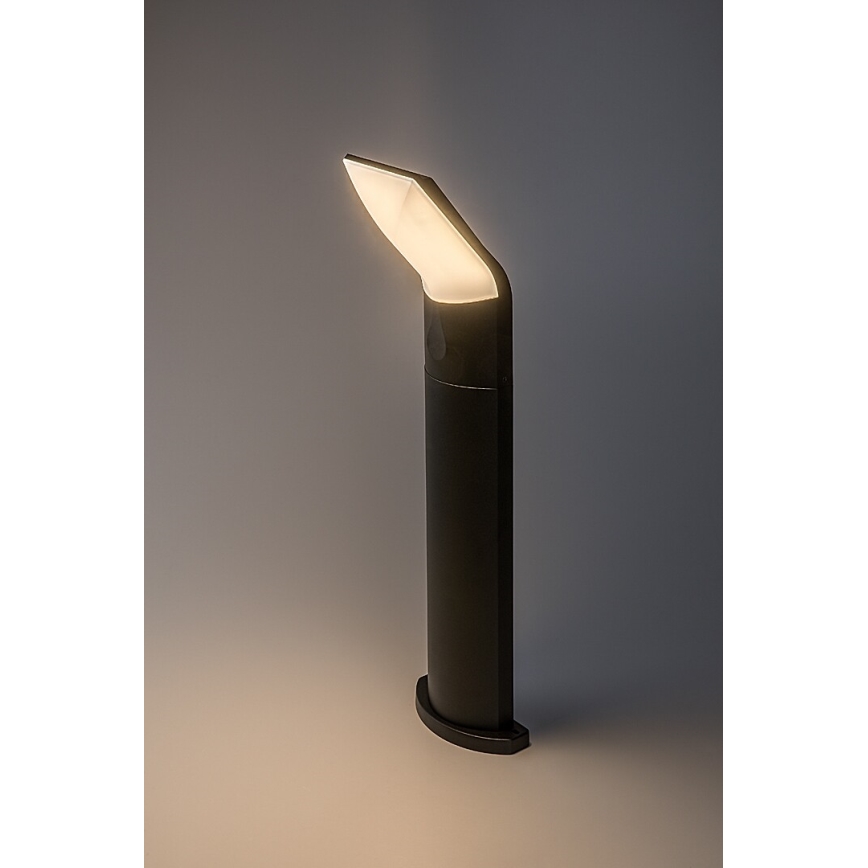 Rabalux - LED-lampa för utomhusbruk LED/10W/230V IP54