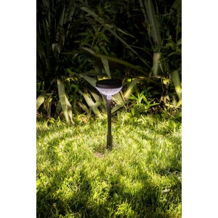 Rabalux - LED RGB Solcellslampa LED/0,1W/1,2V 600mAh IP44