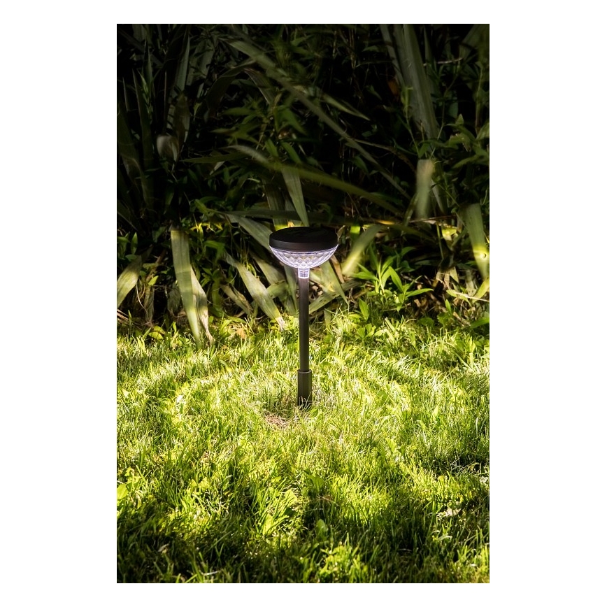 Rabalux - LED RGB Solcellslampa LED/0,1W/1,2V 600mAh IP44