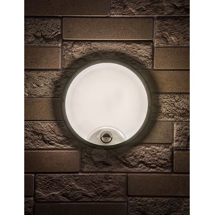 Rabalux - LED utomhus väggarmatur med sensor LED/18W/230V IP65 svart