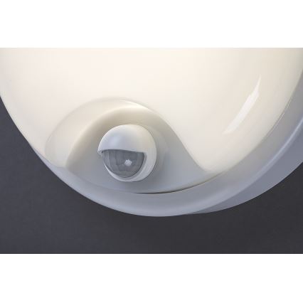 Rabalux - LED utomhusväggarmatur med sensor LED/18W/230V IP65 vit