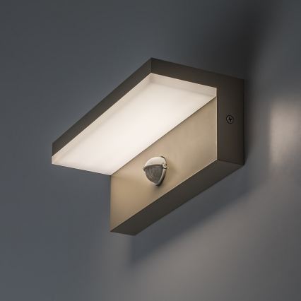 Rabalux - LED utomhusvägglampa med sensor LED/9W/230V IP54 beige