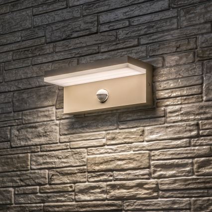 Rabalux - LED utomhusvägglampa med sensor LED/9W/230V IP54 beige