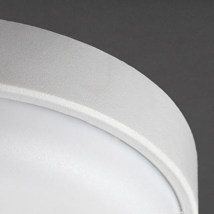 Rabalux - LED Utomhustaklampa LED/14W/230V IP54 vit