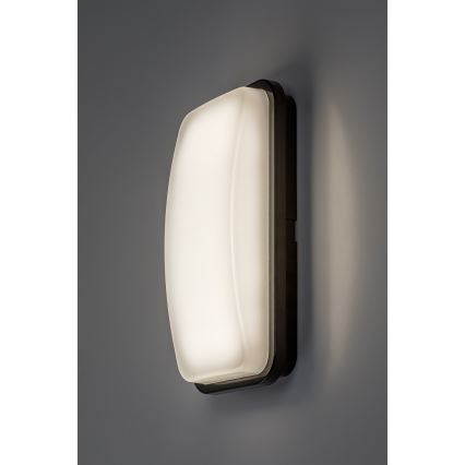 Rabalux - LED utomhusväggarmatur LED/20W/230V 4000K IP65