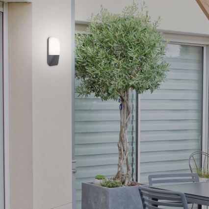 Rabalux 7996 - LED Utomhus Väggbelysning ECUADOR LED/10W/230V IP65 800lm 4000K