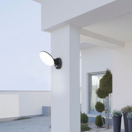 Rabalux - LED Utomhus Vägglampa med Sensor LED/12W/230V IP54