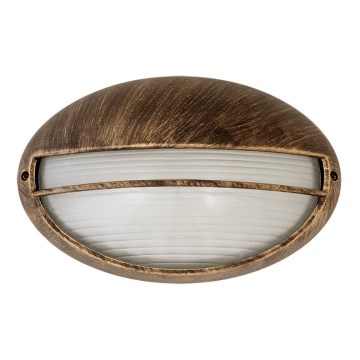 Rabalux 8496 - Utomhus Väggbelysning HEKTOR 1xE27/100W/230V