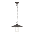 Rabalux 8687 - Utomhus Hängande lampa VIGO 1xE27/60W