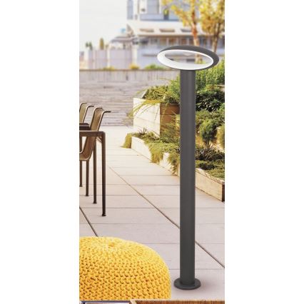 Rabalux 8704 - Utomhus LED-lampa BRISTOL 1xLED/9W
