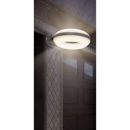 Rabalux 8770 - Utomhus LED Väggbelysning GRAZ 1xLED/12W