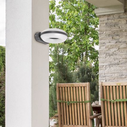 Rabalux 8770 - Utomhus LED Väggbelysning GRAZ 1xLED/12W