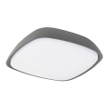 Rabalux 8797 - LED Utomhus Takbelysning AUSTIN LED/20W/230V IP65