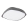 Rabalux 8797 - LED Utomhus Takbelysning AUSTIN LED/20W/230V IP65
