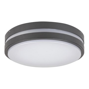 Rabalux 8847 - LED Utomhus Väggbelysning HAMBURG LED/10W/230V IP44