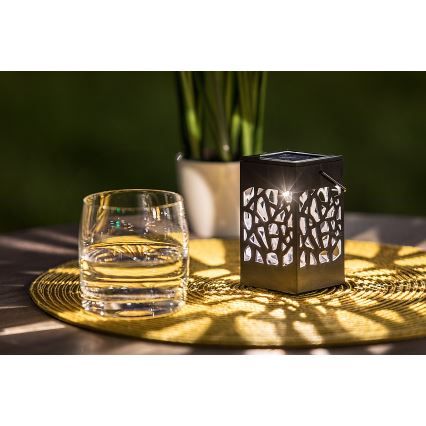 Rabalux - LED solcellslampa för utomhusbruk LED/0,07W/1xAAA IP23 200 mAh