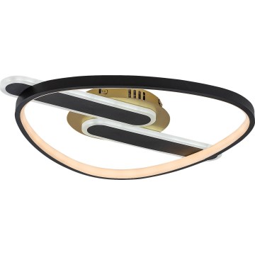 Rabalux - dimbar LED-taklampa LED/60W/230V 3000-6000K 53x45 cm + fjärrkontroll