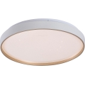 Rabalux - Dimbart LED-takarmatur LED/34W/230V 3000–6500 K Ø 38 cm + fjärrkontroll