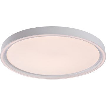 Rabalux - Dimbart LED-taklampa LED/31W/230V IP40 3000-6500K Ø41,5 cm + fjärrkontroll