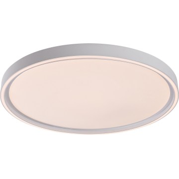 Rabalux - Dimbart LED-taklampa LED/54W/230V IP40 3000-6500K Ø 52 cm + fjärrkontroll