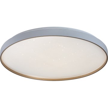 Rabalux - Dimbart LED-taklampa LED/60W/230V 3000-6500K Ø 58 cm + fjärrkontroll