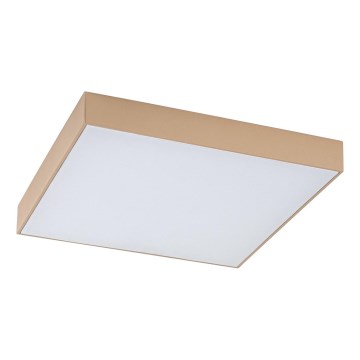 Rabalux - LED Badrumstaklampa LED/24W/230V 2800/4000/6000K IP44
