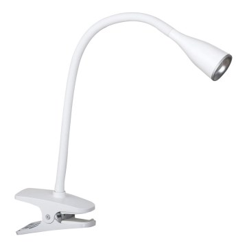 Rabalux - LED bordslampa med klämma LED/4,5W/230V