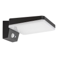 Rabalux - LED dimbar solcellsvägglampa med sensor LED/4,4W/3,7V IP54 svart 2200 mAh