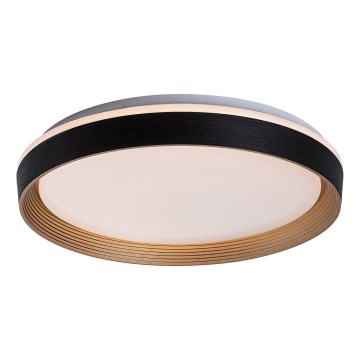 Rabalux - LED Dimbar taklampa LED/48W/230V 3000-6500K + fjärrkontroll