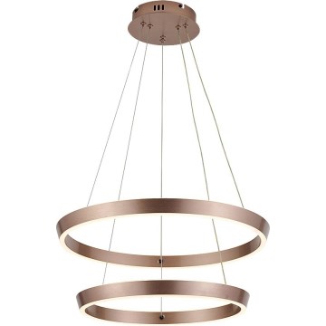 Rabalux - LED dimbar taklampa på vajer LED/45W/230V 3000-6500K + fjärrkontroll