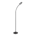 Rabalux - LED Dimbar Touch Golvlampa LED/11W/230V 3000K