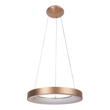 Rabalux - LED ljuskrona med textilsladd CARMELLA LED/50W/230V diameter 60 cm